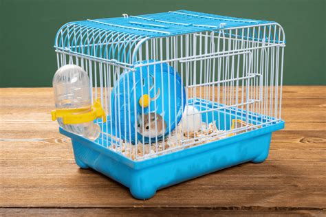 hamster cage cost